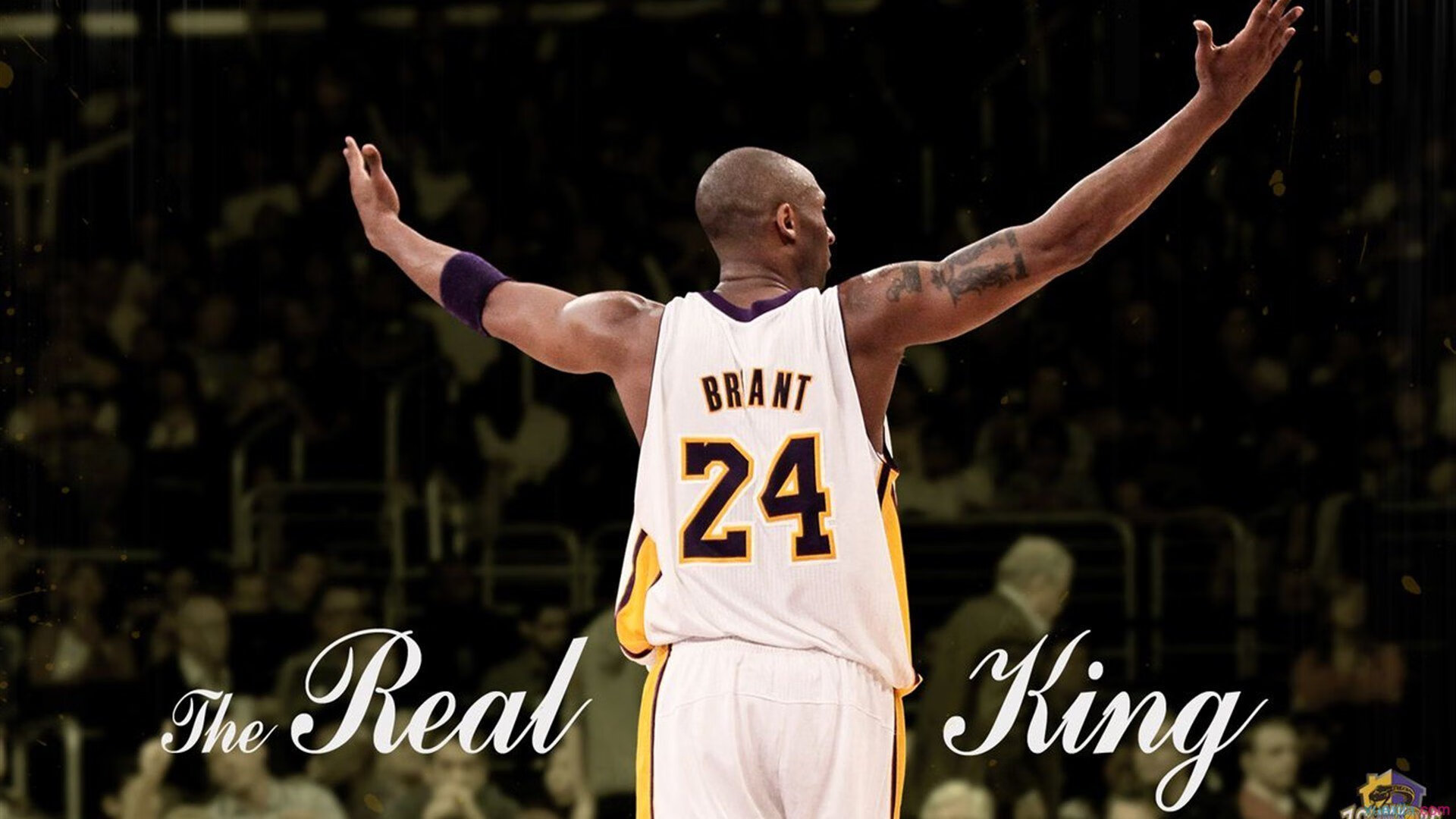 跳水赛场中立代表队A完成高难度动作，跳水队选拔赛